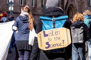 Les jouets écologiques : une contribution à la protection de notre planète